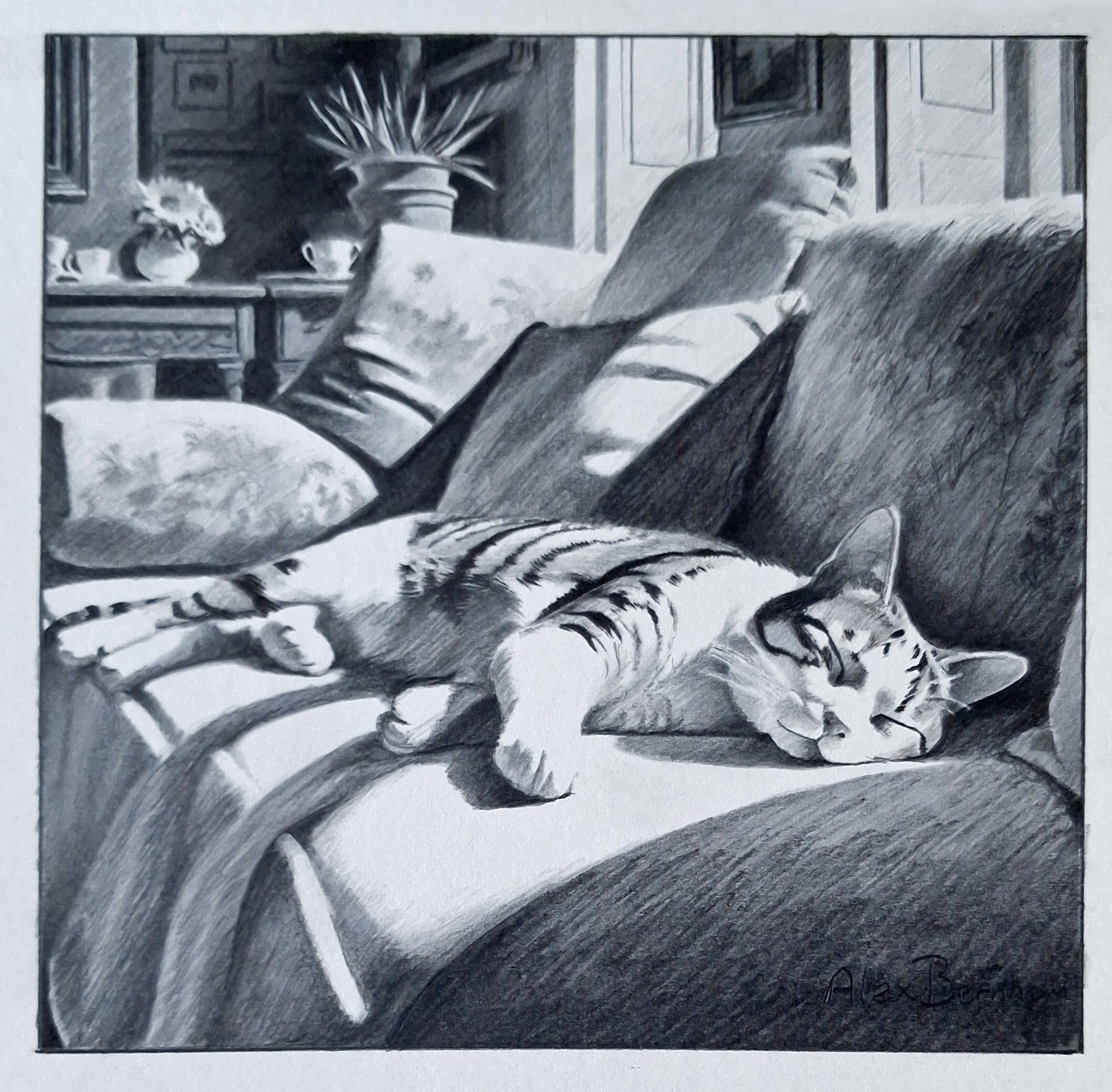 The Great Sunbeam Sleep-in
